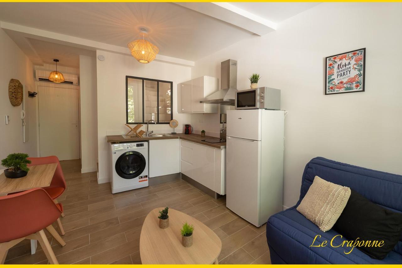 Le Craponne - Magnifique Appartement Cours Principal Plein Centre Avec Parking سالو دو بروفونْسْ المظهر الخارجي الصورة